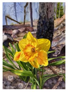 A painting of a daffodil with a burned landscape in the background.