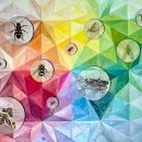 Art work with a variety of insects in circles over a geometric rainbow background