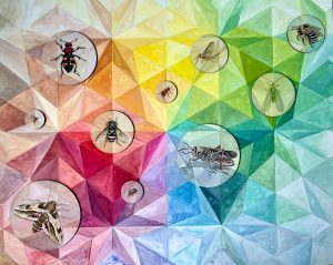 Art work with a variety of insects in circles over a geometric rainbow background